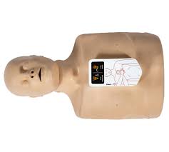 Chest Emergency Reanimation Device