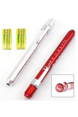 PUPIL TORCH BUDGET SILVER or GREY