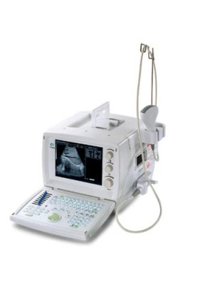 Ultrasound Black White basic portable 9.7" WED9618