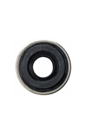 Oxygen Regulator - Bodok Seal