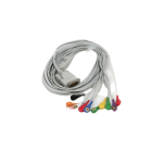 ECG Cable - 10 Lead button Type